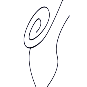 Logo La Forêt de Chapeaux