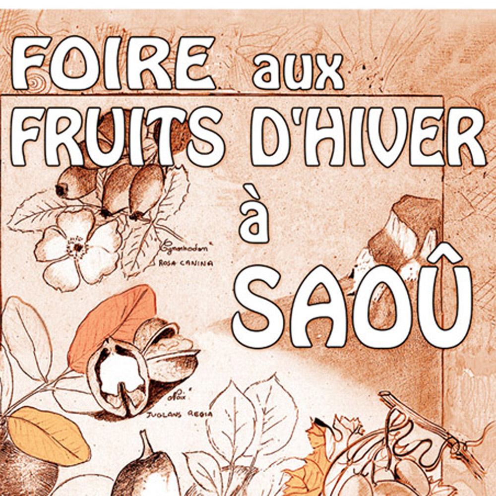 Foire aux Fruits d'Hiver à Saoû (26) le 3ème dimanche de novembre