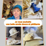 La forêt des chapeaux vous souhaite une belle année douce et pétillante