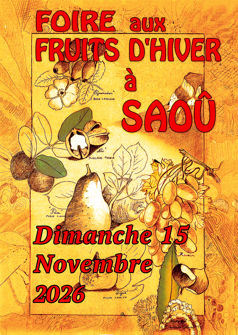 La Foire aux Fruits d’Hiver à Saoû